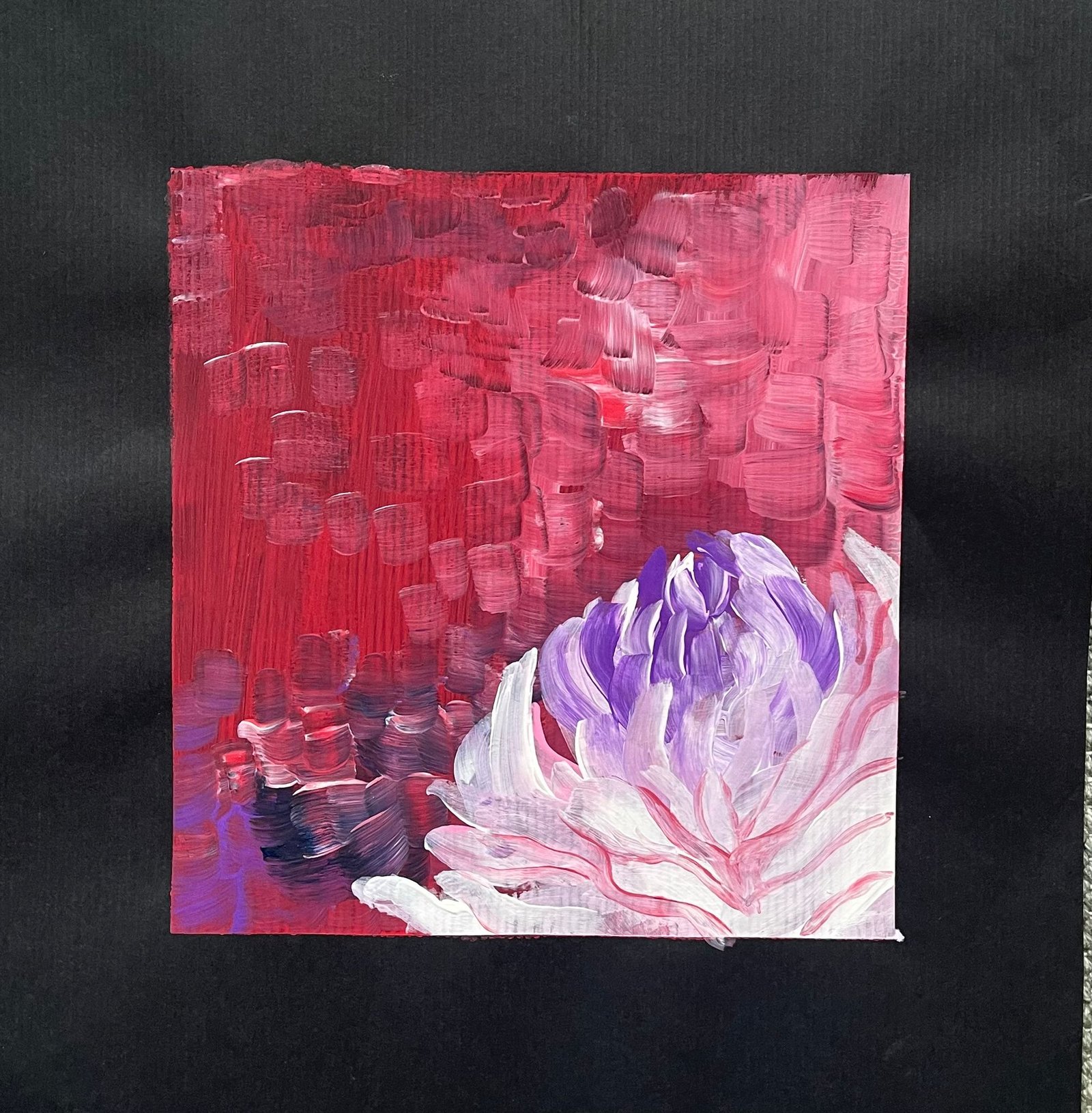 64d82e0db919a.jpg